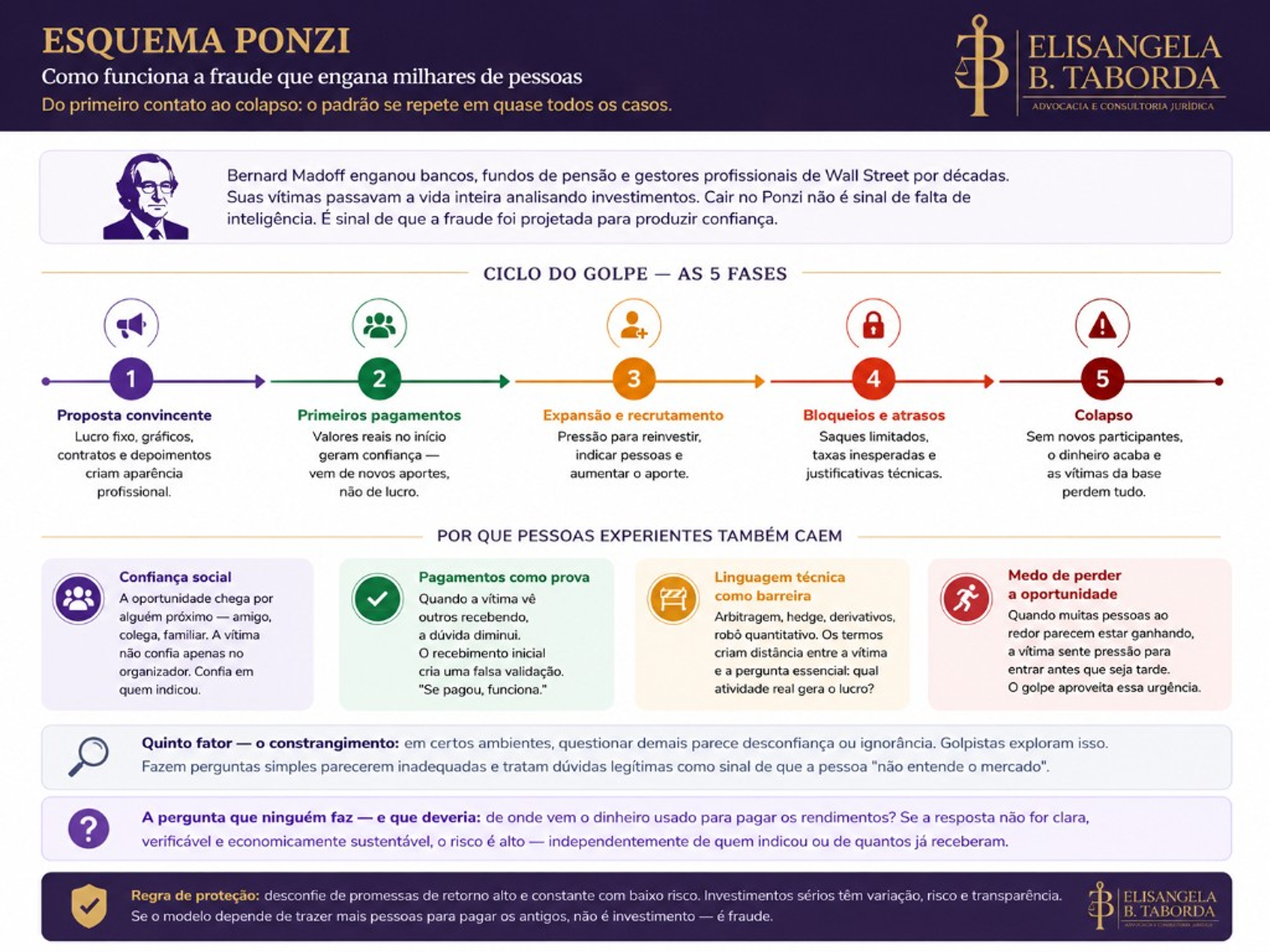 Infográfico do esquema Ponzi: ciclo do golpe, caso Madoff e por que experientes também caem